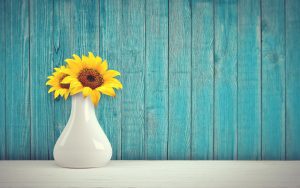 sunflower-palm